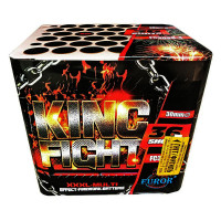 FC3036-4 King Fight