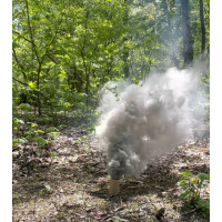 Набір димових шашок ДШк-S-6 кільце 6 шт, білий насичений дим, 40 сек для військових навчань
