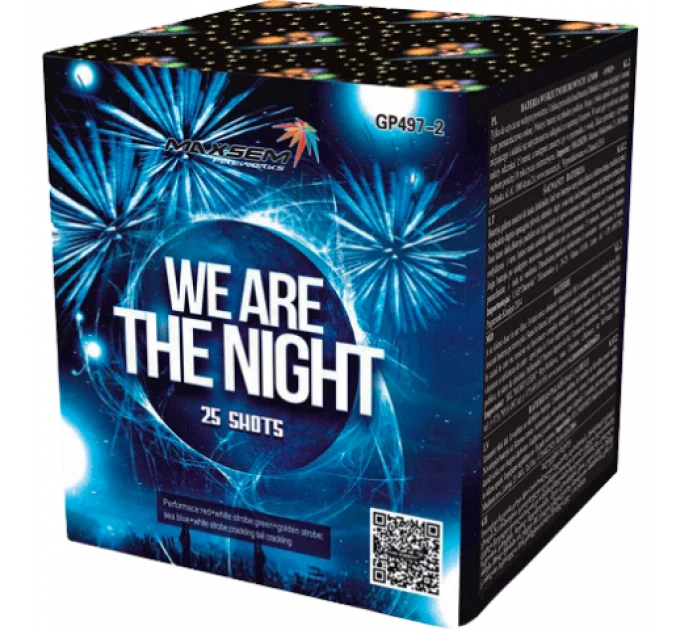 GP497/2 WE ARE THE NIGHT